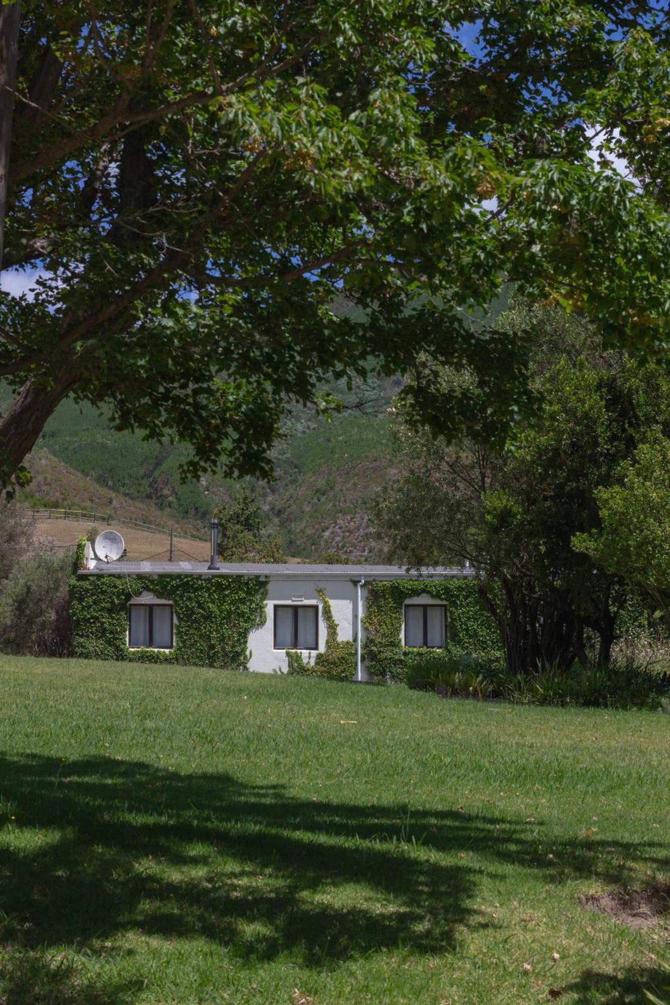 פרנצ'הוק Three Streams Cottage מראה חיצוני תמונה